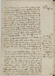 Birds Flight Code, Sheet 13 Verso